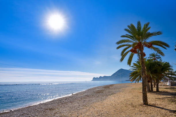 Altea beach Playa La Roda palm trees in Alicante of Spain